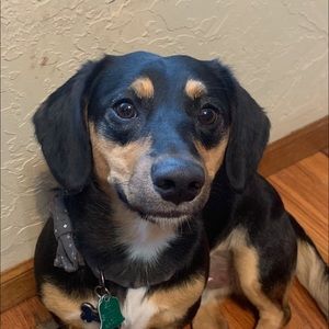 Meet your Posher, Madison